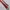 Vintage Pria white red photo 3