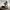 Burberry Luxury Futurist Loafer Pria khaki black photo 1
