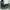 Balenciaga Emo Sneakers Pria green gray photo 8