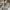 Rick Owens Casual Midi dress Wanita white photo 5