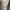 Rick Owens Casual Midi dress Wanita white photo 4