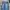 Streetwear Minimalist Jeans Pria white blue photo 3