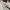 Uniqlo Minimalist Casual Pria white photo 4