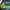 Nike Sportswear Boots Pria green blue photo 3