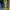 Nike Sportswear Boots Pria green blue photo 2