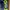 Nike Sportswear Boots Pria Green Blue