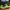 Adidas Sportswear Boots Pria green orange photo 1