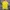 Polo Ralph Lauren Casual Polo shirt Pria yellow photo 2