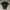 Carhartt Streetwear Y2K Polo shirt Pria black photo 1
