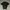 Carhartt Streetwear Y2K Polo Shirt Pria Black