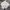 Sergio Tacchini Casual Polo shirt Pria white photo 1