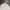 Uniqlo Casual Polo shirt Pria white photo 3