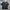 Canterbury Casual Polo shirt Pria black photo 2