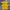 Canterbury Vintage Polo shirt Pria yellow photo 1