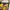 Canterbury Vintage Polo shirt Pria yellow photo 5