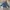 ZARA Vintage Streetwear Denim jacket Pria navy photo 2