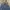 ZARA Vintage Streetwear Denim jacket Pria navy photo 1