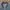 ZARA Vintage Streetwear Denim jacket Pria navy photo 3