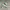 Converse Streetwear Casual Sneakers Pria green photo 1