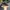 VANS Vintage Streetwear Sneakers Pria Multicolor
