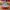 Converse Streetwear Casual Sneakers Wanita multicolor photo 1