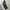 Polo Ralph Lauren Vintage Casual Casual pants Pria blue photo 2