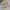 Japanese brand Vintage Avant Garde T-shirt Pria cream yellow photo 1