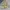 Japanese Brand Vintage Avant Garde T-shirt Pria Cream Yellow