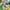 Cosplay Futurist Boots Pria multicolor photo 1