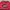 Nike Vintage Sportswear Windbreaker Pria red black photo 7