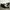 Burberry Casual Loafer Pria Tan Black