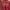 LAINE Batik Kebaya Wanita multicolor burgundy photo 1