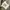 Casual T-shirt Pria white photo 4