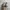 Adidas Casual Sneakers Pria multicolor photo 4