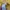 Dickies Streetwear Casual Sweater Pria yellow photo 5