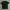 Carhartt Streetwear T-shirt Pria green photo 1