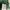 Carhartt Streetwear T-shirt Pria green photo 4