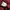 Dickies Casual Track jacket Pria white red photo 6