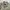 Burberry Sportswear Harrington jacket Pria tan photo 4