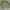 Minimalist Casual Sweater Wanita multicolor green photo 1