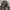 Von Dutch Y2K Biker Puffer jacket Pria black photo 4