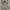 Le Coq Sportif Streetwear Casual Track jacket Pria silver photo 4