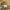 Final Home Vintage Avant Garde Jumper Pria tan photo 5