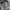 H&M Y2K Gorpcore Windbreaker Pria black photo 7