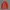 Japanese Brand Streetwear Casual Harrington Jacket Pria Red