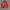 Japanese brand Streetwear Casual Harrington jacket Pria red photo 1