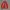Japanese Brand Streetwear Casual Harrington Jacket Pria Red