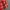 Japanese brand Streetwear Casual Harrington jacket Pria red photo 5