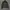 FUGA Grunge Goth Denim jacket Pria gray photo 1