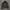 FUGA Grunge Goth Denim Jacket Pria Gray